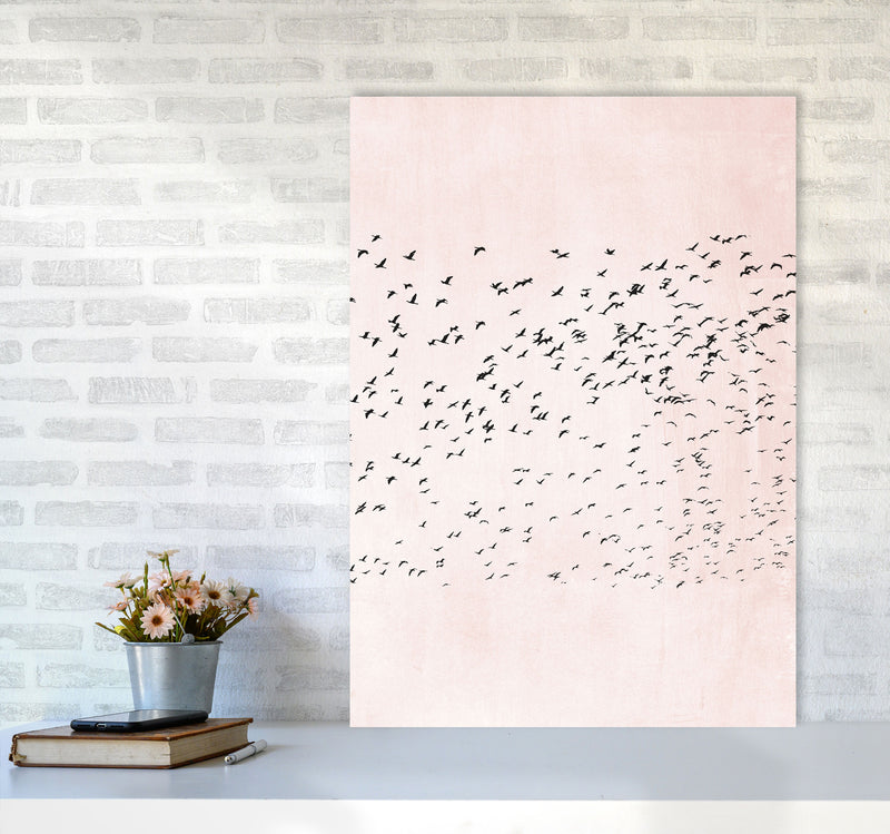 500 Seagulls Modern Contemporary Art Print by Kubistika A1 Black Frame