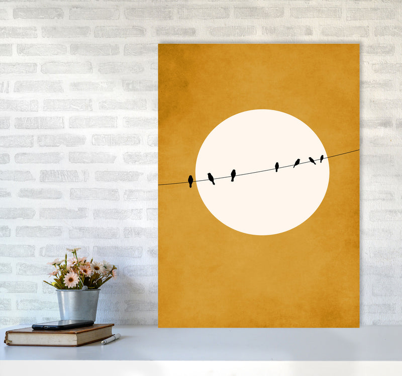 Chirping And Chilling (At Night) Art Print by Kubistika A1 Black Frame