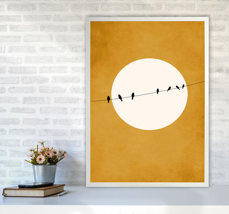 Chirping And Chilling (At Night) Art Print by Kubistika A1 Oak Frame