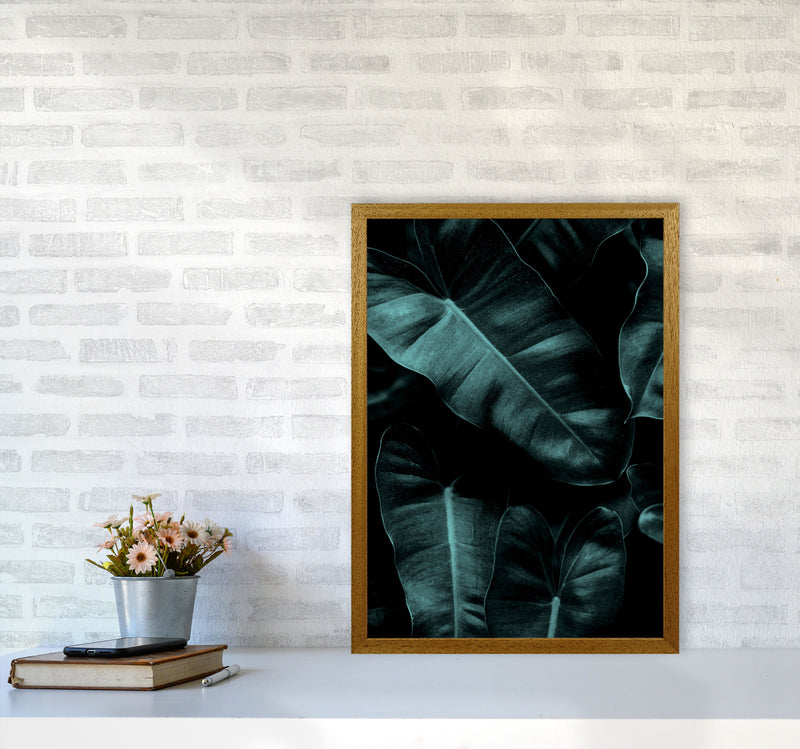 Dark Leafs Photography Art Print by Kubistika A2 Print Only