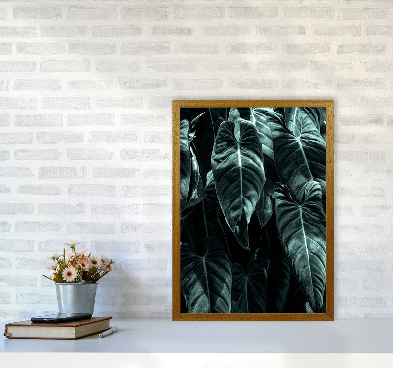 The Jungle Photography Art Print by Kubistika A2 Print Only