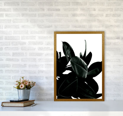 Dark Tree Photography Art Print by Kubistika A2 Print Only