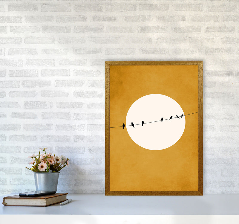 Chirping And Chilling (At Night) Art Print by Kubistika A2 Print Only