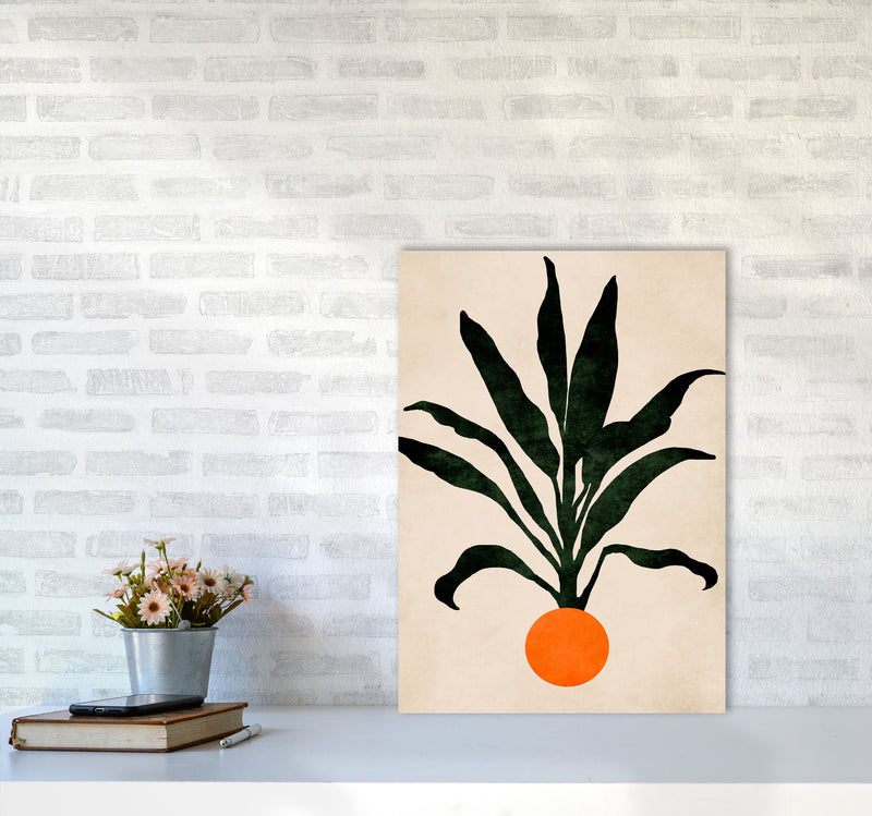 Pumpkin Portrait Art Print by Kubistika A2 Black Frame