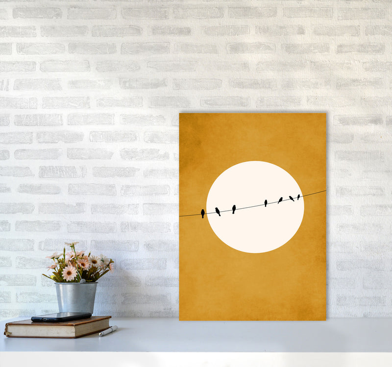 Chirping And Chilling (At Night) Art Print by Kubistika A2 Black Frame