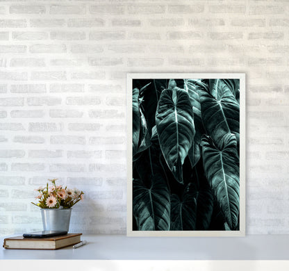 The Jungle Photography Art Print by Kubistika A2 Oak Frame