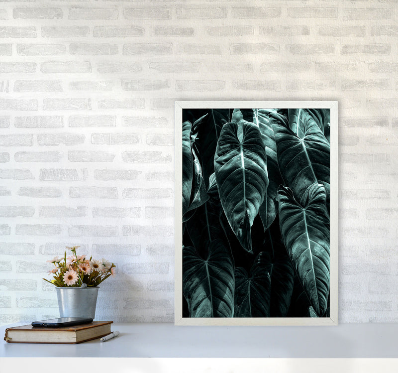 The Jungle Photography Art Print by Kubistika A2 Oak Frame