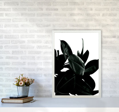 Dark Tree Photography Art Print by Kubistika A2 Oak Frame