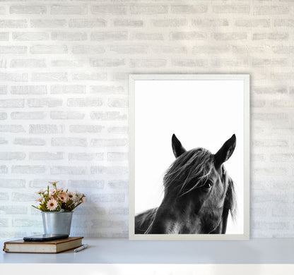 Black Beauty Photography Art Print by Kubistika A2 Oak Frame