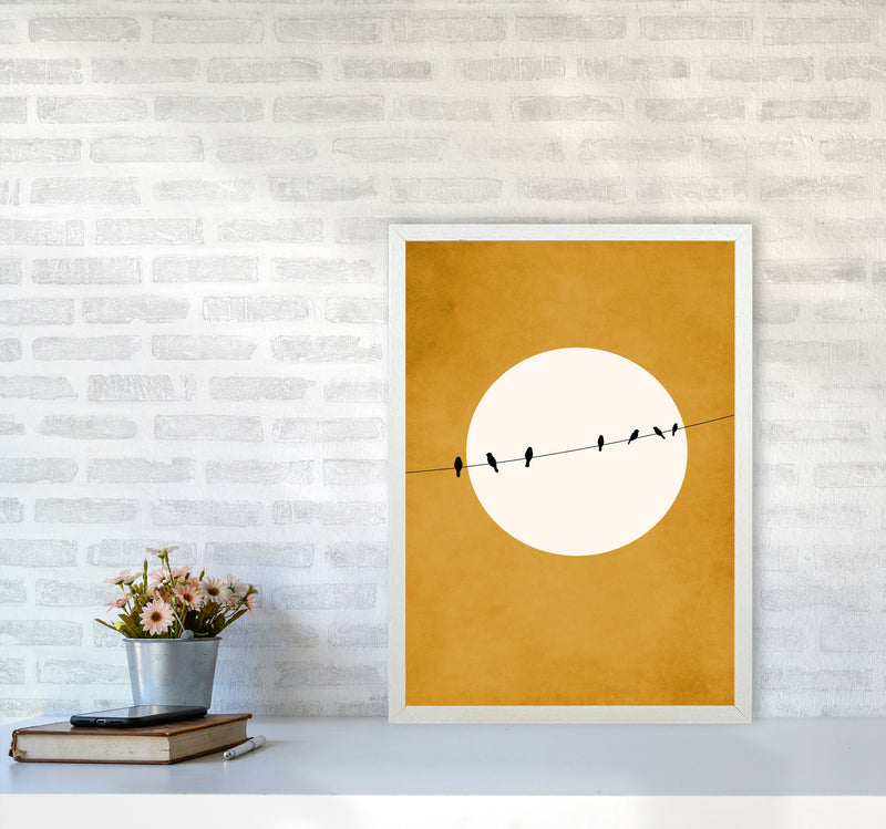 Chirping And Chilling (At Night) Art Print by Kubistika A2 Oak Frame