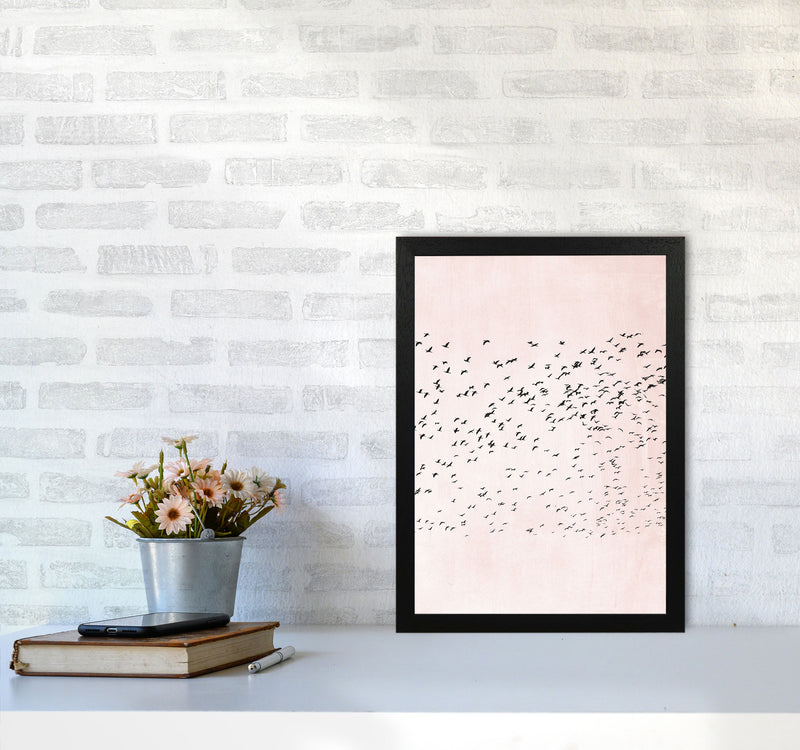 500 Seagulls Modern Contemporary Art Print by Kubistika A3 White Frame