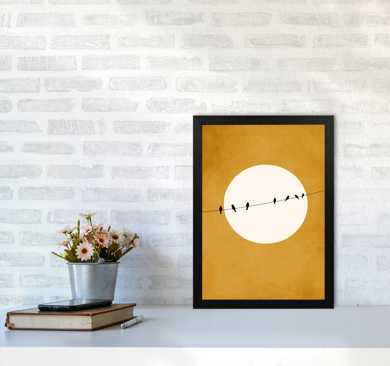 Chirping And Chilling (At Night) Art Print by Kubistika A3 White Frame
