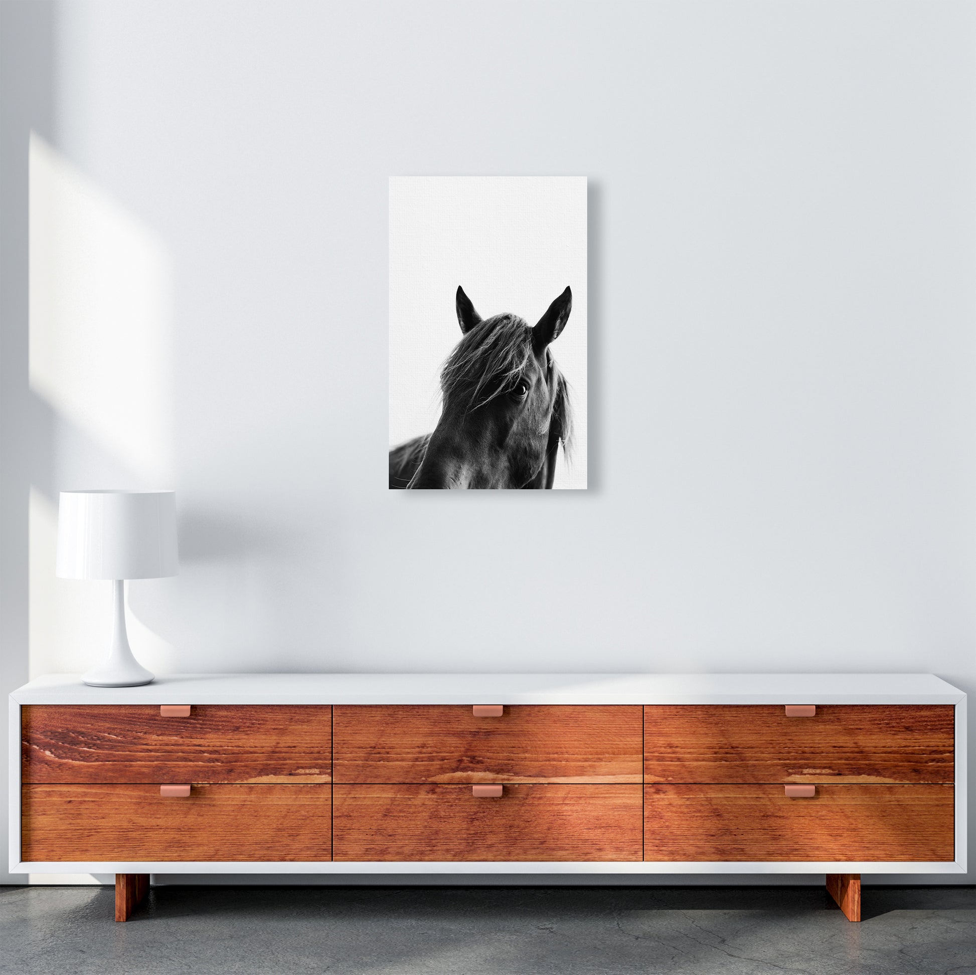 Black Beauty Photography Art Print by Kubistika A3 Canvas