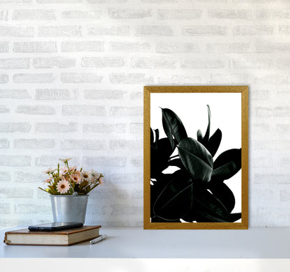 Dark Tree Photography Art Print by Kubistika A3 Print Only