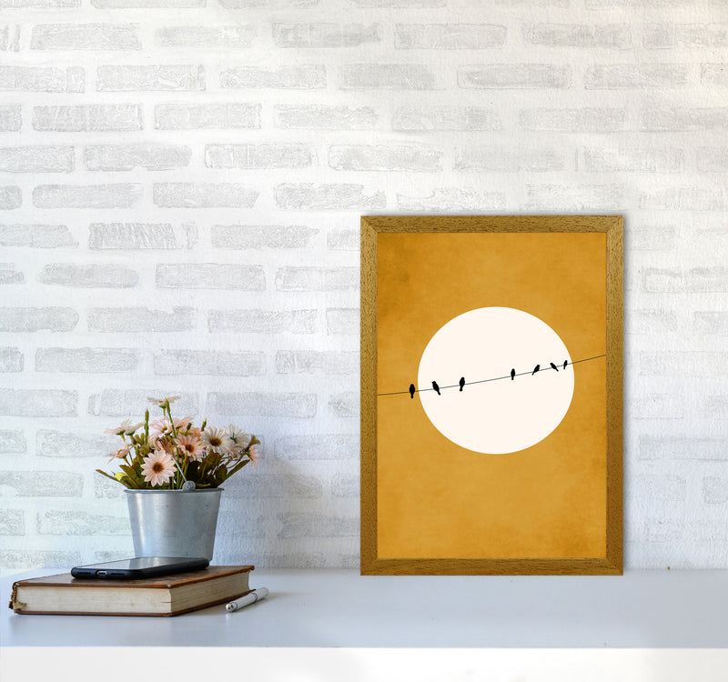 Chirping And Chilling (At Night) Art Print by Kubistika A3 Print Only