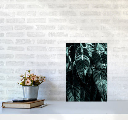 The Jungle Photography Art Print by Kubistika A3 Black Frame
