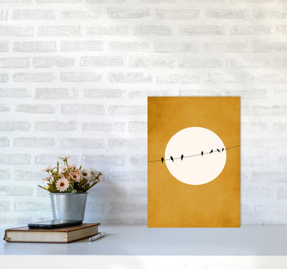 Chirping And Chilling (At Night) Art Print by Kubistika A3 Black Frame
