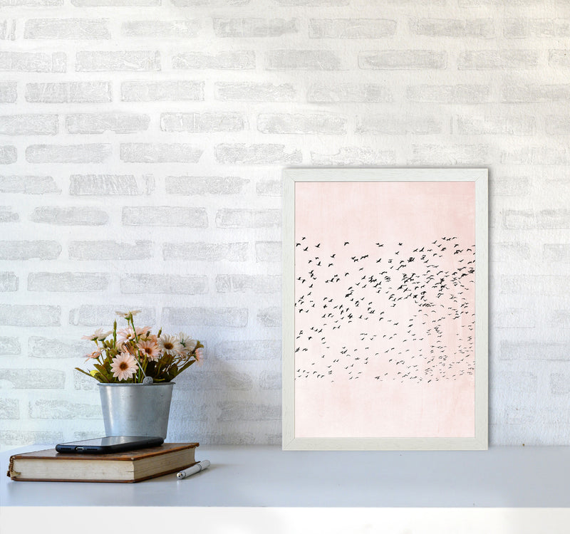 500 Seagulls Modern Contemporary Art Print by Kubistika A3 Oak Frame
