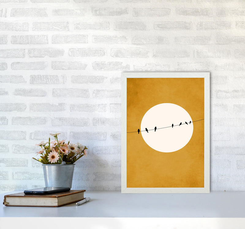 Chirping And Chilling (At Night) Art Print by Kubistika A3 Oak Frame