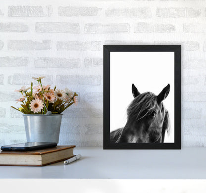 Black Beauty Photography Art Print by Kubistika A4 White Frame