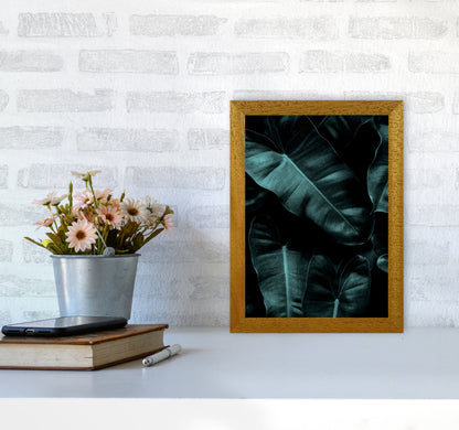 Dark Leafs Photography Art Print by Kubistika A4 Print Only