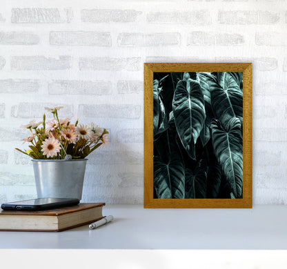 The Jungle Photography Art Print by Kubistika A4 Print Only