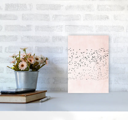 500 Seagulls Modern Contemporary Art Print by Kubistika A4 Black Frame