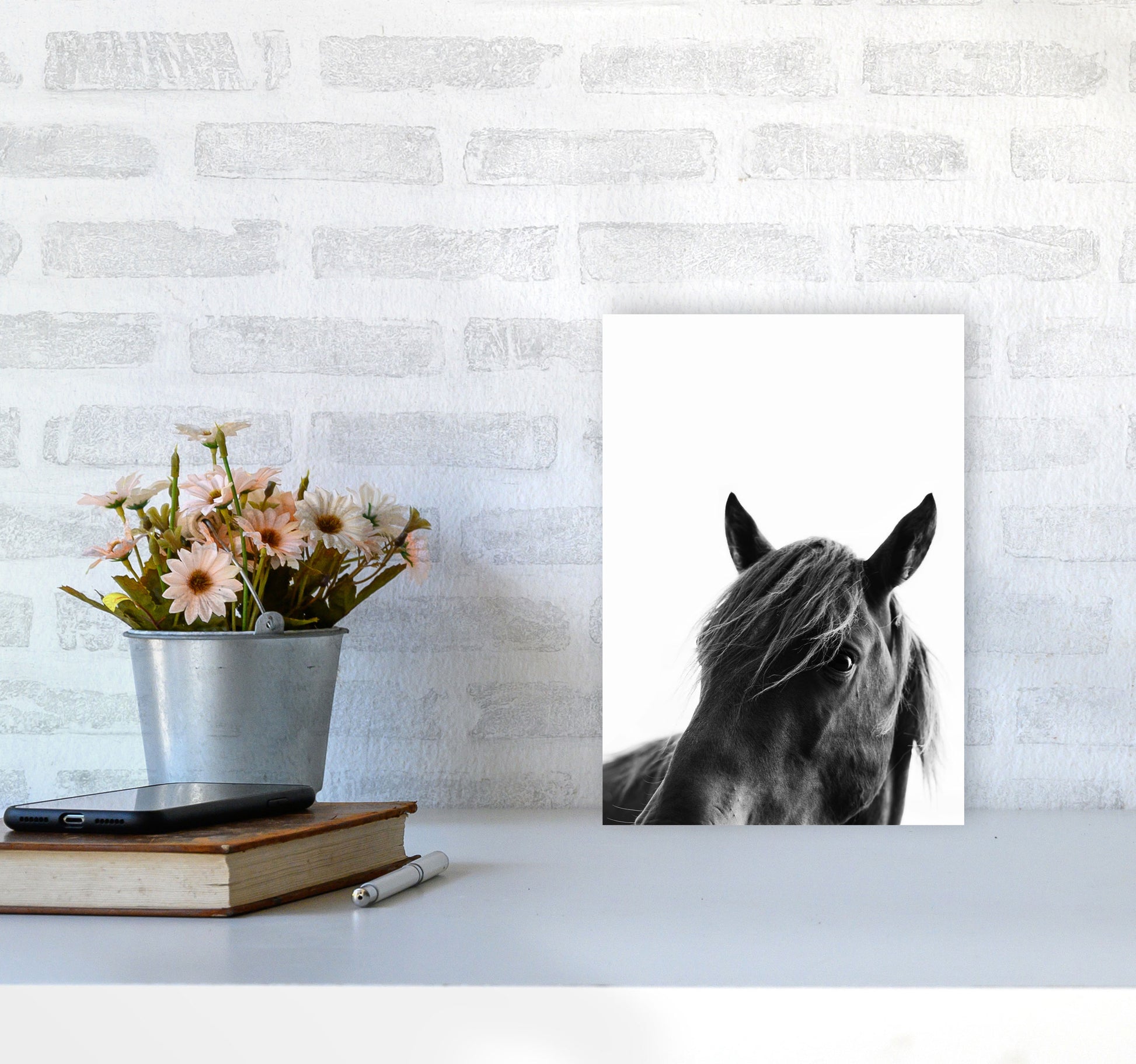 Black Beauty Photography Art Print by Kubistika A4 Black Frame