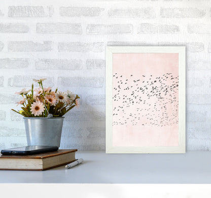 500 Seagulls Modern Contemporary Art Print by Kubistika A4 Oak Frame