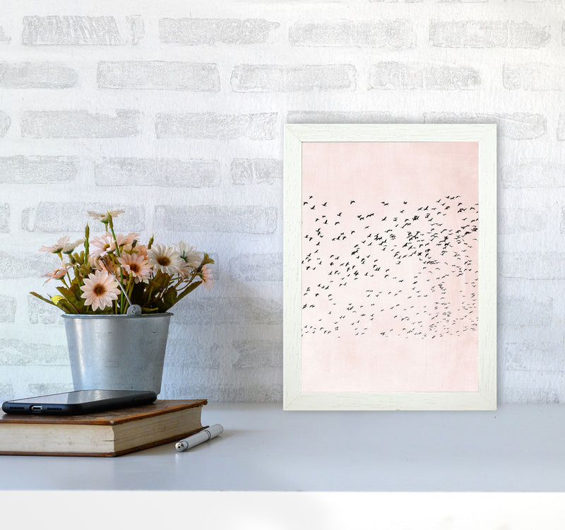 500 Seagulls Modern Contemporary Art Print by Kubistika A4 Oak Frame