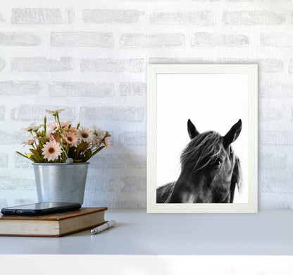 Black Beauty Photography Art Print by Kubistika A4 Oak Frame
