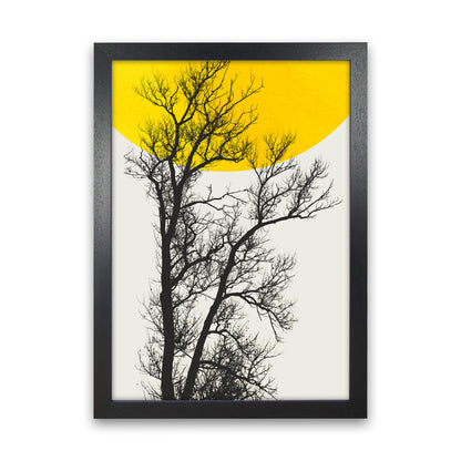 Autumn Memories Contemporary Art Print by Kubistika Black Grain