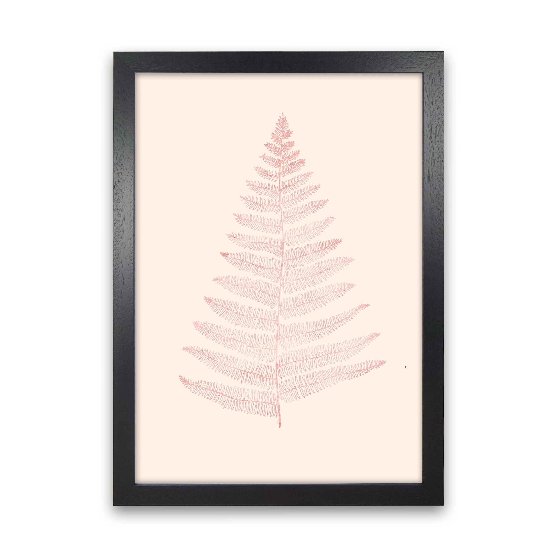 Botanica Minimalistica - ROUGE Modern Art Print by Kubistika Black Grain
