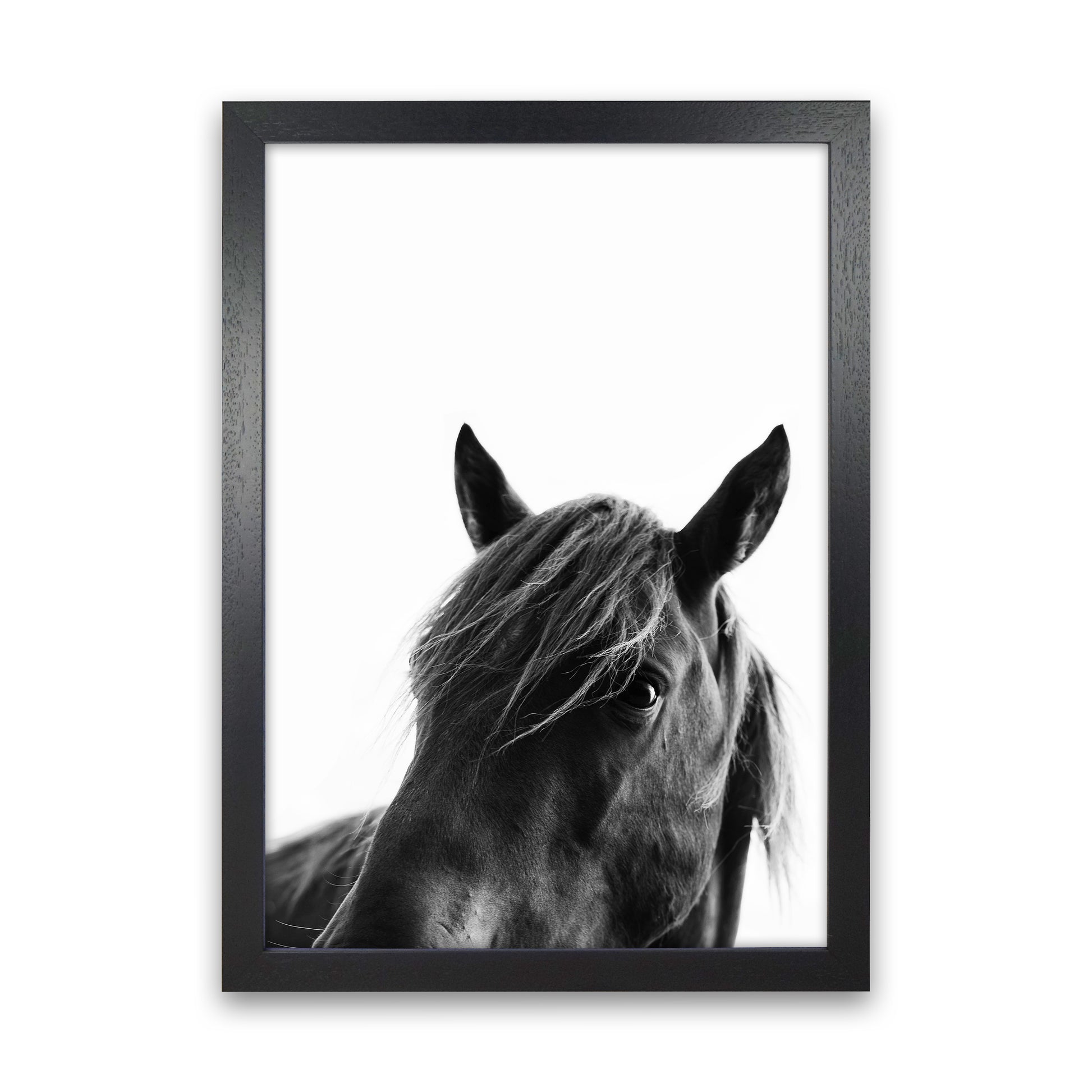 Black Beauty Photography Art Print by Kubistika Black Grain