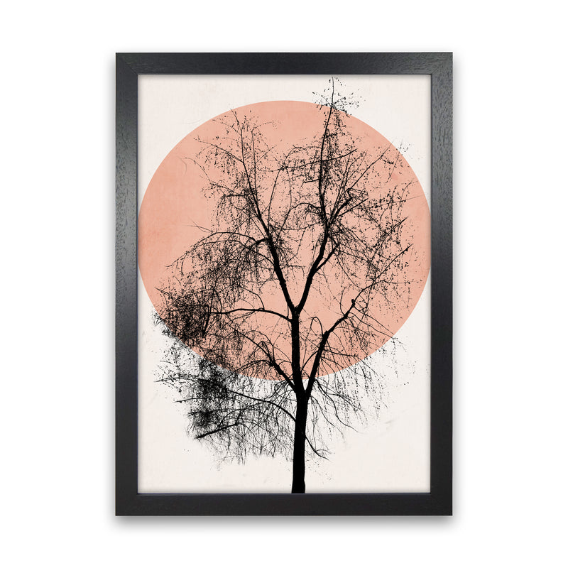 Autumn Sunset Contemporary Art Print by Kubistika Black Grain