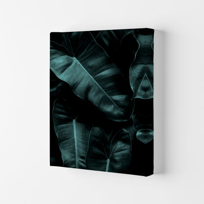 Dark Leafs Photography Art Print by Kubistika Canvas