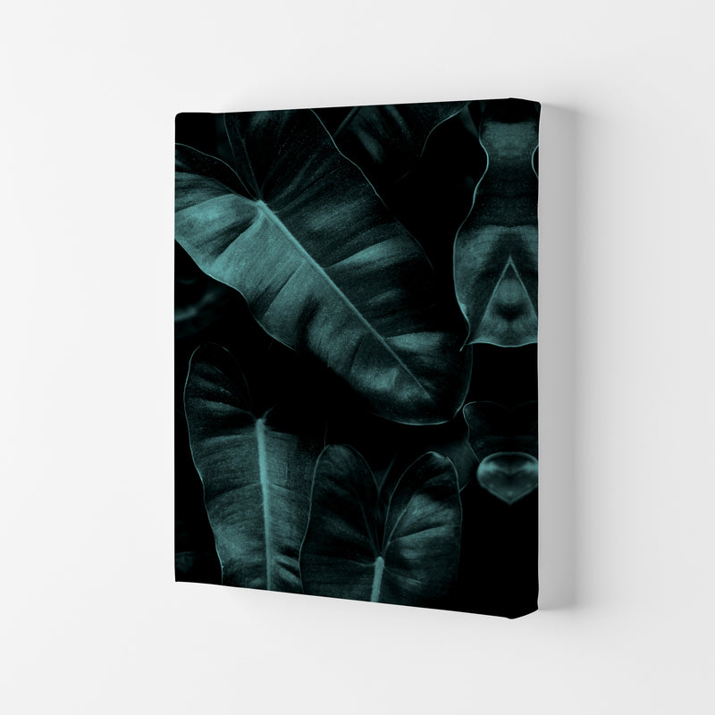 Dark Leafs Photography Art Print by Kubistika Canvas