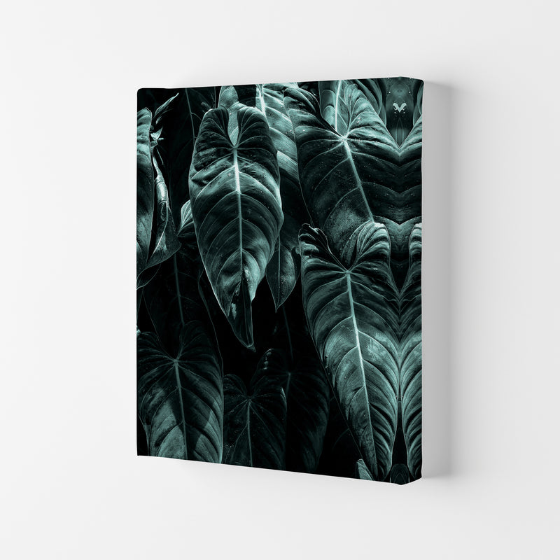 The Jungle Photography Art Print by Kubistika Canvas