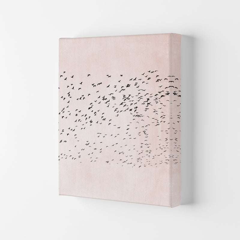 500 Seagulls Modern Contemporary Art Print by Kubistika Canvas