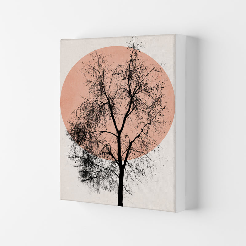 Autumn Sunset Contemporary Art Print by Kubistika Canvas