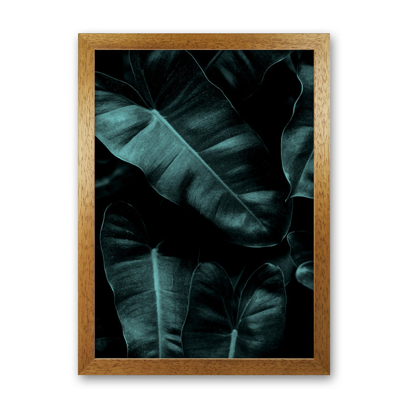 Dark Leafs Photography Art Print by Kubistika Oak Grain
