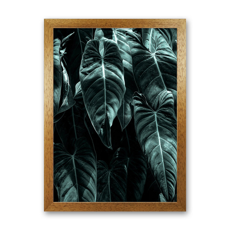 The Jungle Photography Art Print by Kubistika Oak Grain