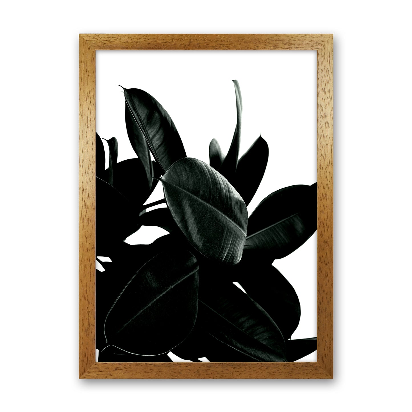 Dark Tree Photography Art Print by Kubistika Oak Grain