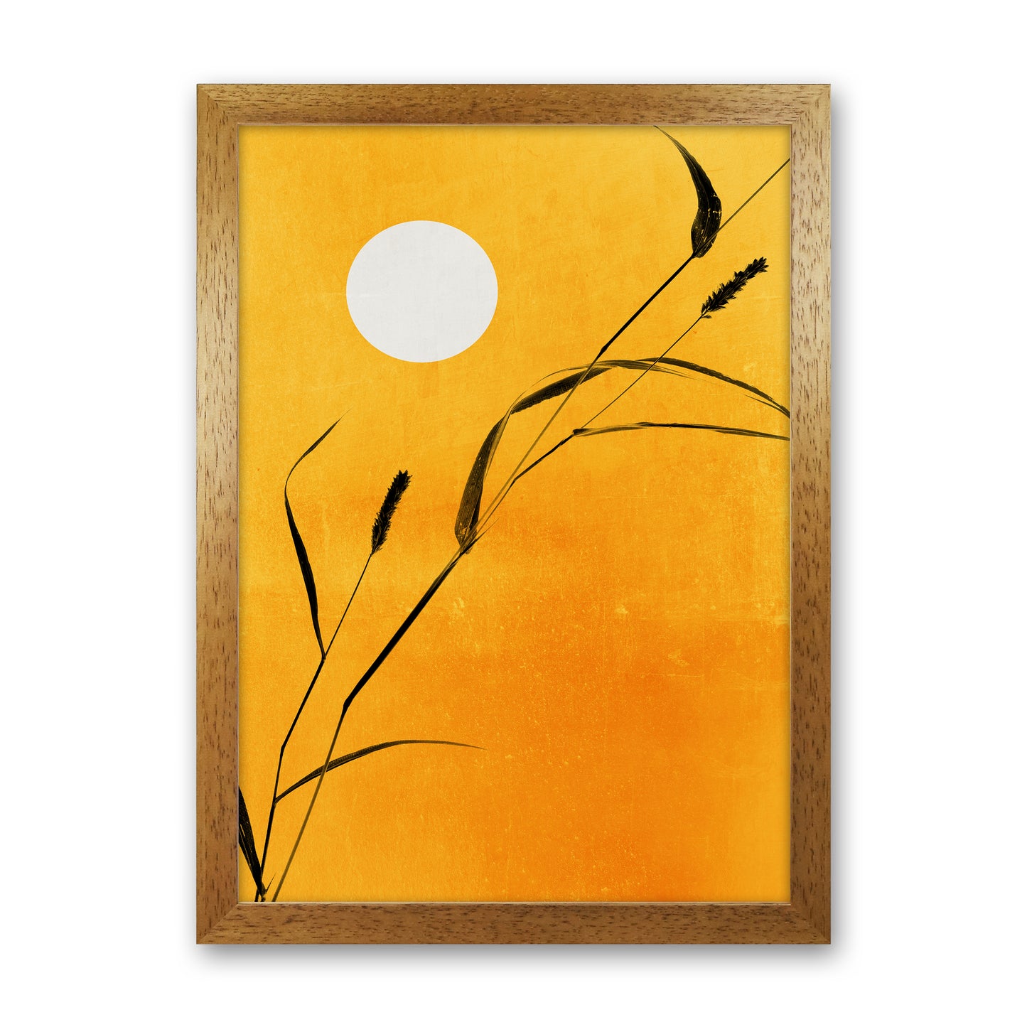 Sunny Days Contemporary Art Print by Kubistika Oak Grain