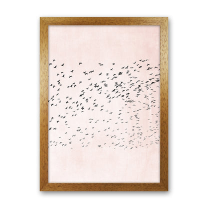 500 Seagulls Modern Contemporary Art Print by Kubistika Oak Grain