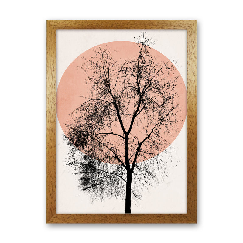 Autumn Sunset Contemporary Art Print by Kubistika Oak Grain