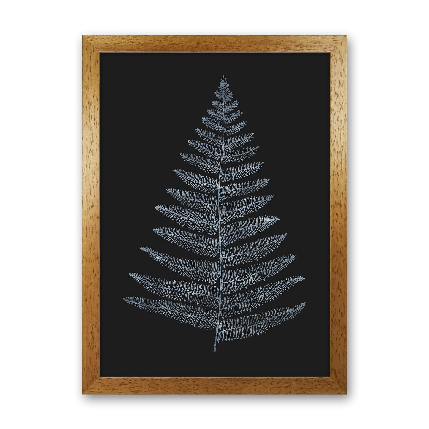 Botanica Minimalistica - BLEU Modern Art Print by Kubistika Oak Grain