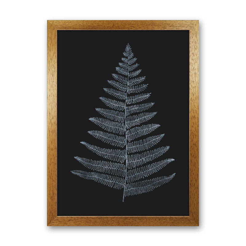 Botanica Minimalistica - BLEU Modern Art Print by Kubistika Oak Grain