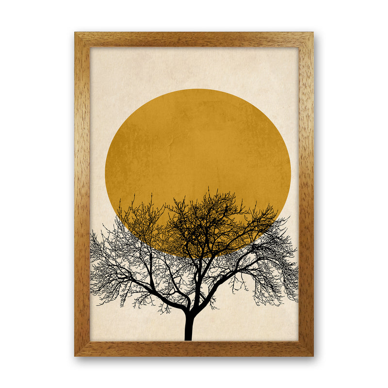 A Beautiful Winter Morning Modern Contemporary Art Print by Kubistika Oak Grain