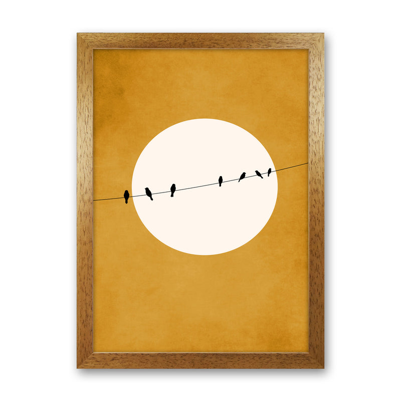 Chirping And Chilling (At Night) Art Print by Kubistika Oak Grain